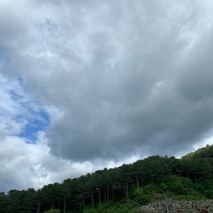 Meet your Posher, Yoojin